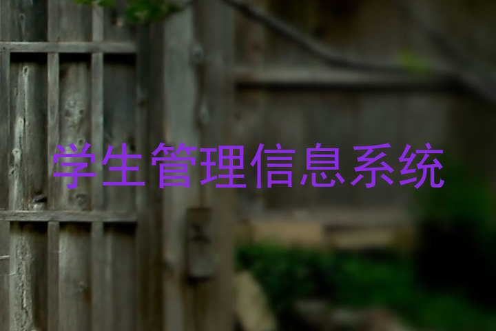 学生管理信息系统