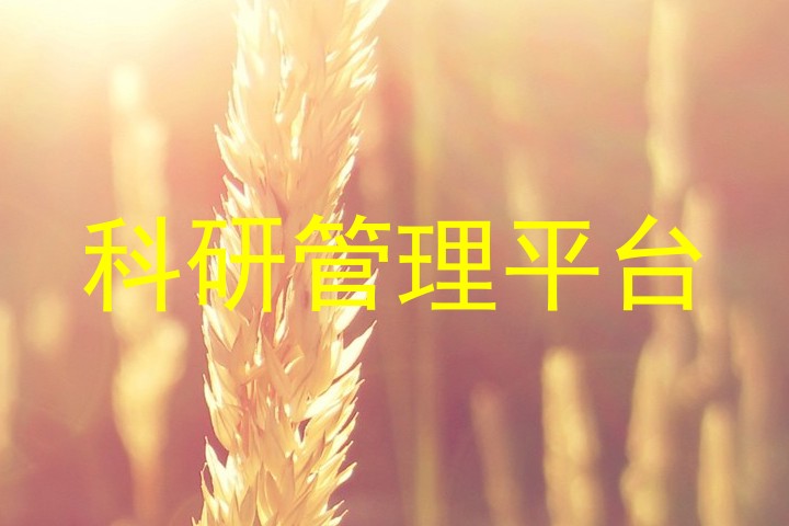 科研管理平台