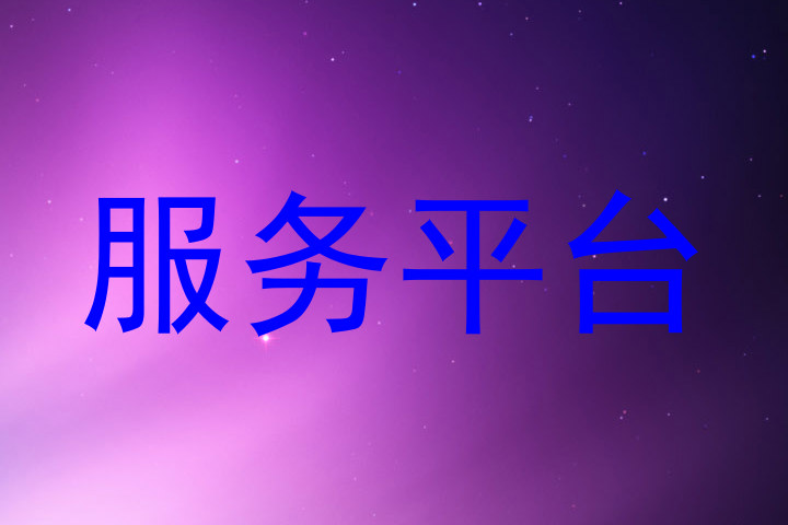 服务平台