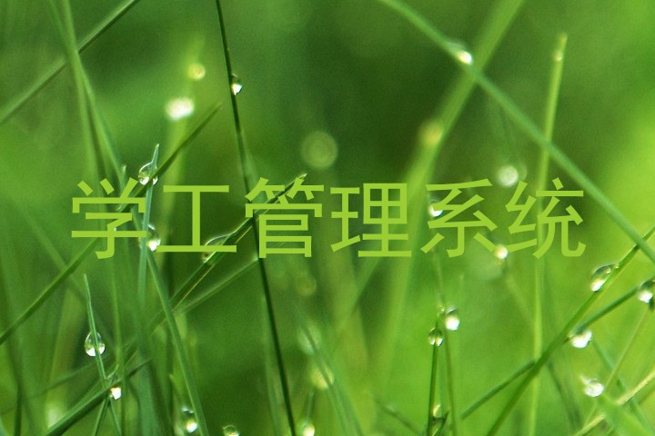 学工管理系统