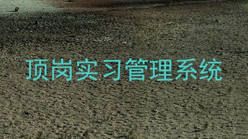 顶岗实习管理系统