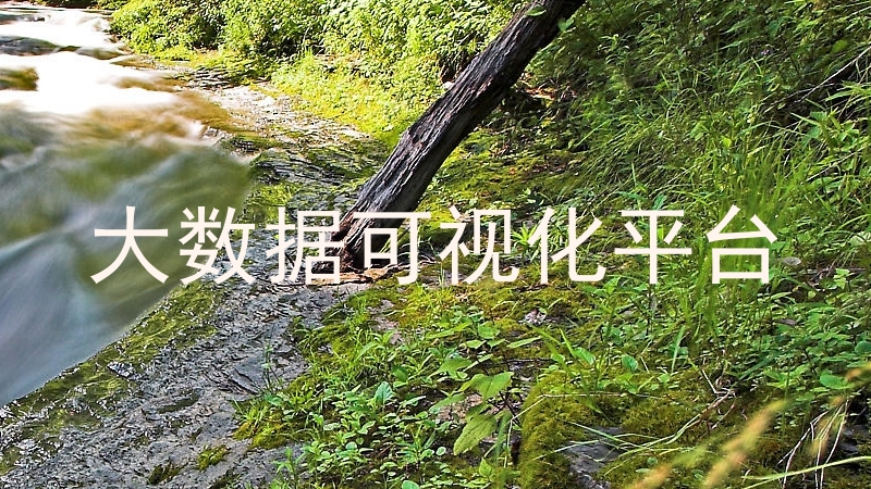 大数据可视化平台