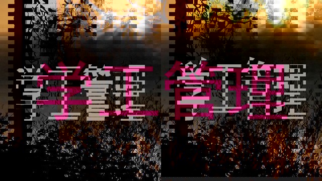 学工管理