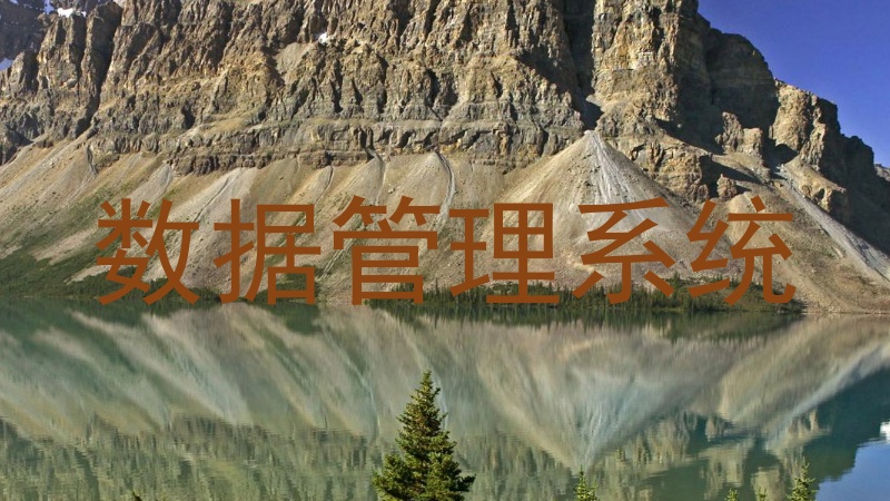 数据管理系统