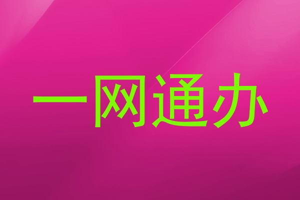 一网通办