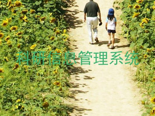 科研信息管理系统