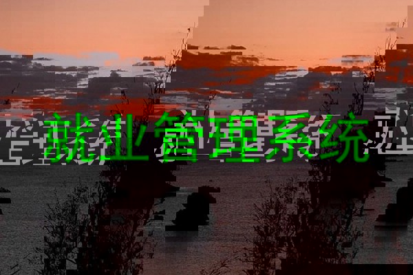 就业管理系统