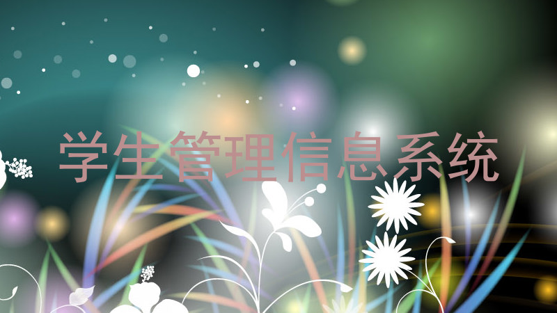 学生管理信息系统