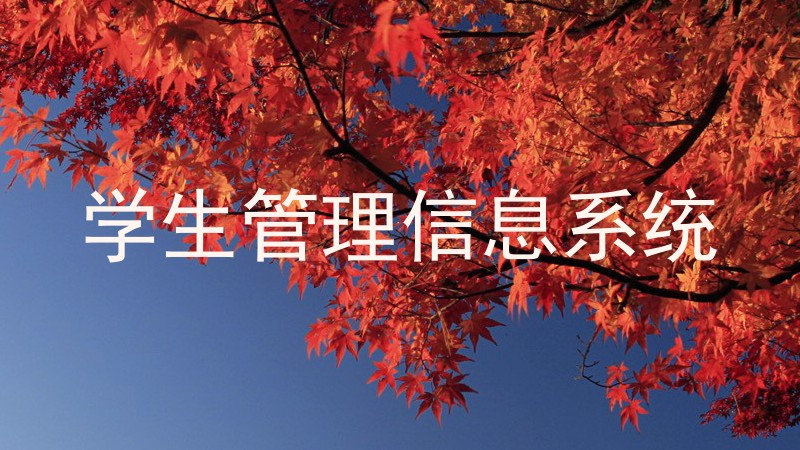 学生管理信息系统