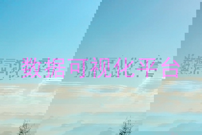 数据可视化平台