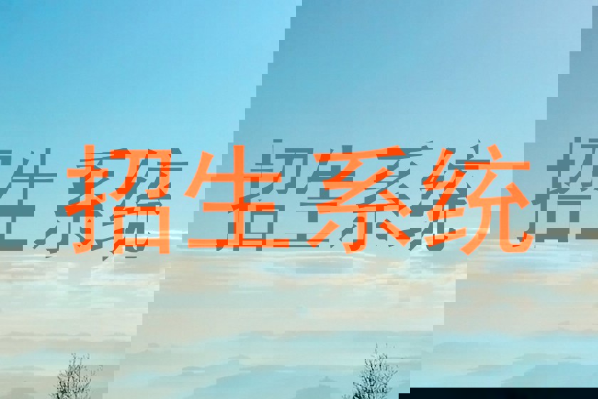 招生系统