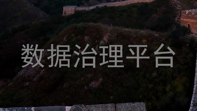 数据治理平台