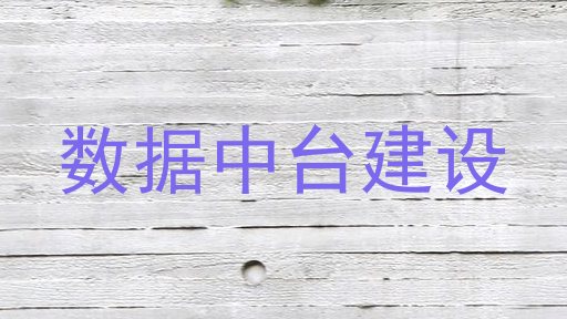 数据中台建设