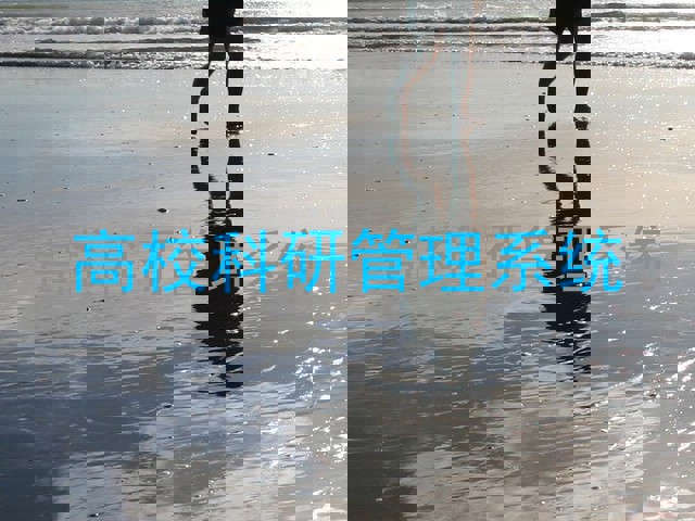 高校科研管理系统