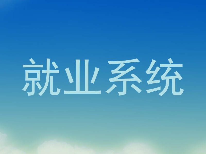 就业系统