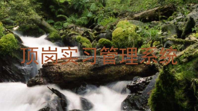 顶岗实习管理系统