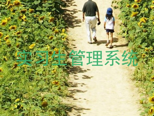 实习生管理系统
