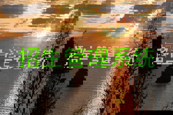招生管理系统