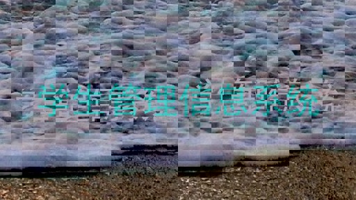 学生管理信息系统