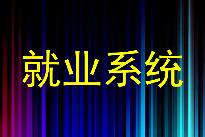 就业系统