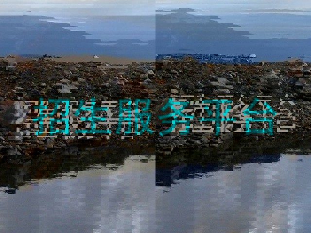 招生服务平台
