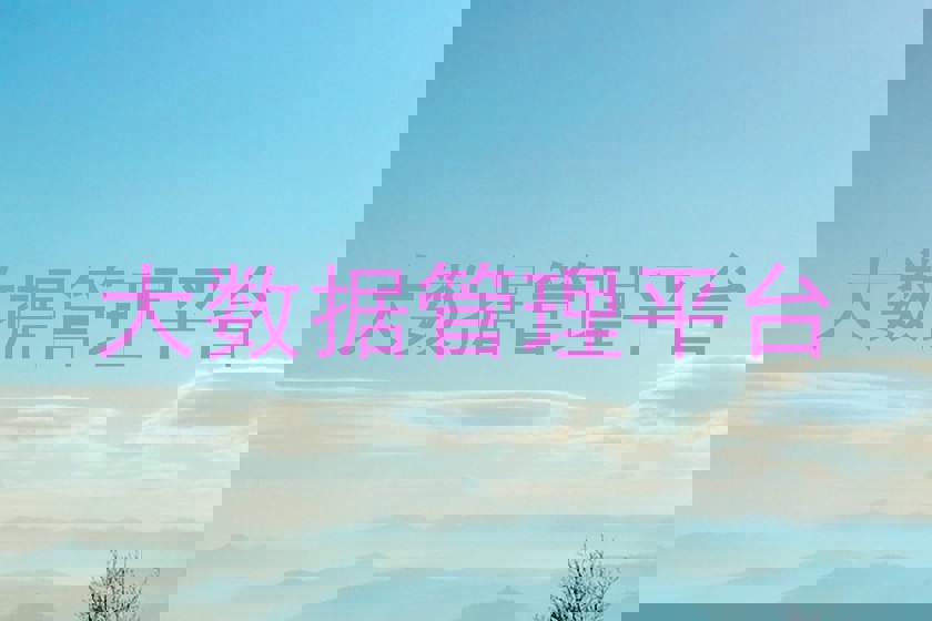 大数据管理平台