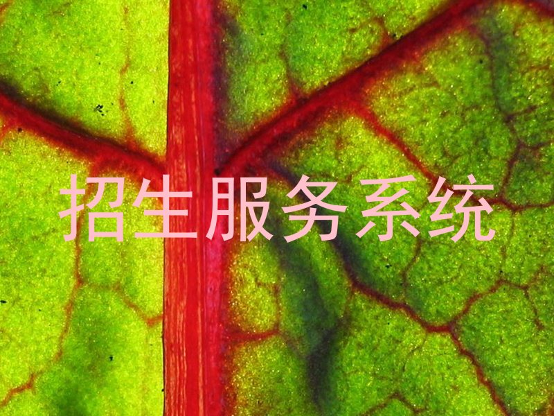 招生服务系统