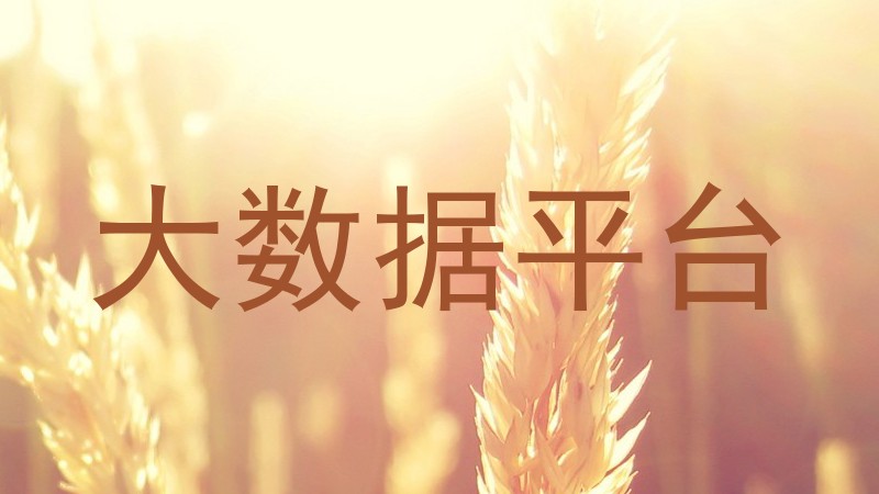 大数据平台