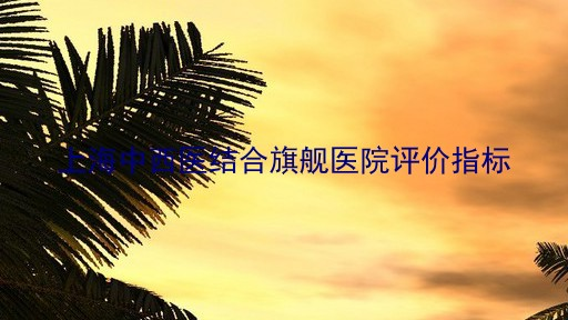 上海中西医结合旗舰医院评价指标