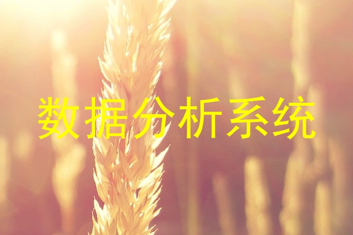 数据分析系统