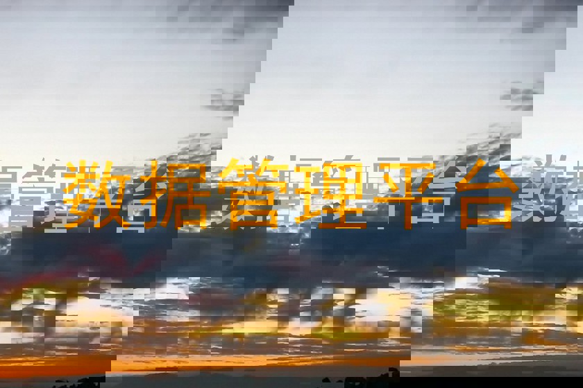 数据管理平台