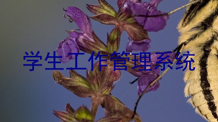 学生工作管理系统