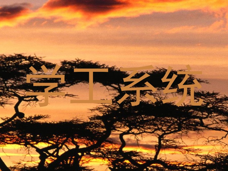 学工系统