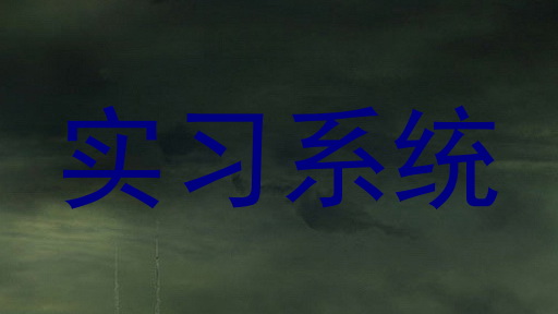 实习系统