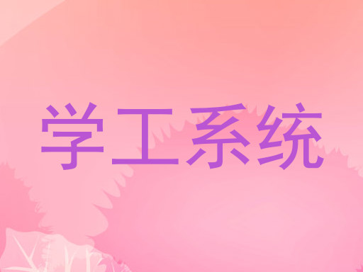 学工系统
