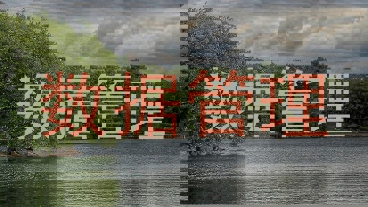 数据管理
