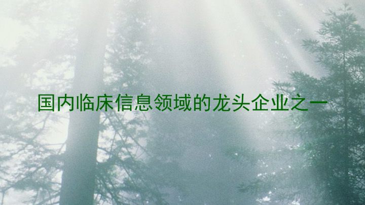 国内临床信息领域的龙头企业之一