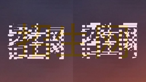 招生网