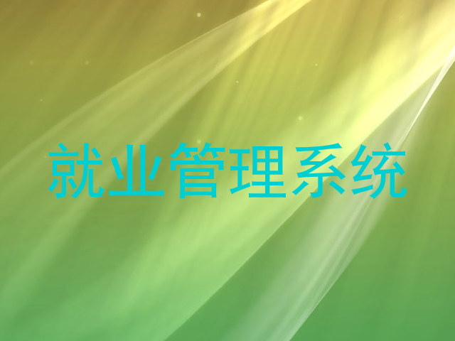就业管理系统