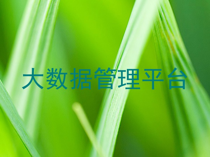大数据管理平台