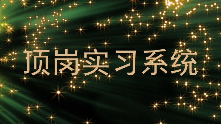 顶岗实习系统