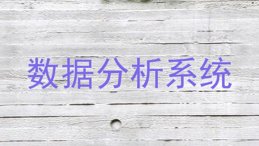 数据分析系统