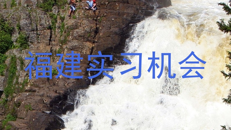 福建实习机会