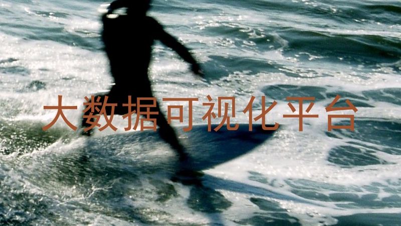 大数据可视化平台