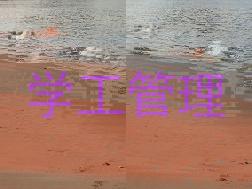学工管理