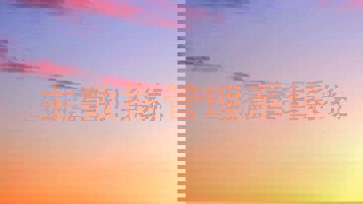 主数据管理系统