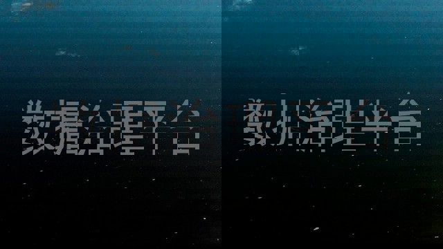 数据治理平台