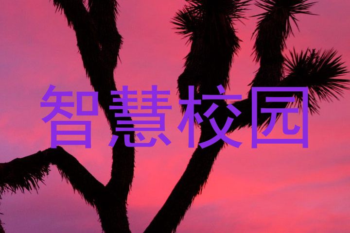智慧校園