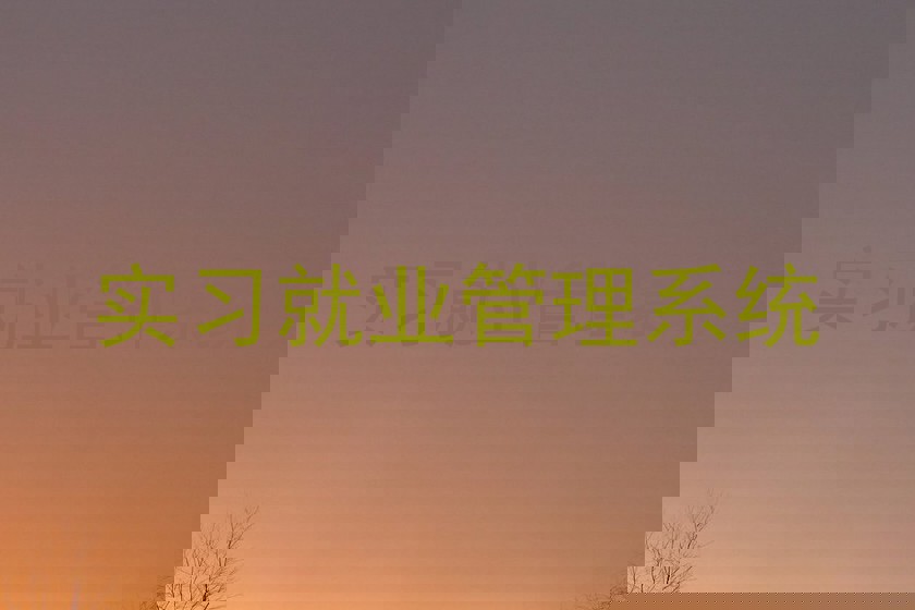 实习就业管理系统