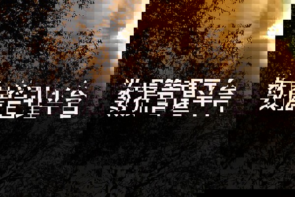 数据管理平台